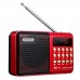 3W Portable TFT Radio Music Speaker Support FM MP3 USB Charger 18650 Battery