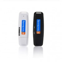 Free Shipping Mini Digital Audio Voice Recorder Pen Dictaphone USB Flash Drive U-Disk