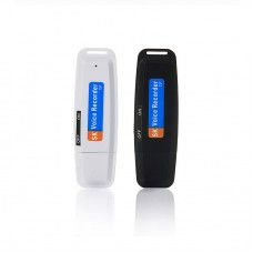 Free Shipping Mini Digital Audio Voice Recorder Pen Dictaphone USB Flash Drive U-Disk